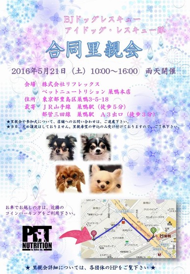 ReflexΤ�Ʋ�5��