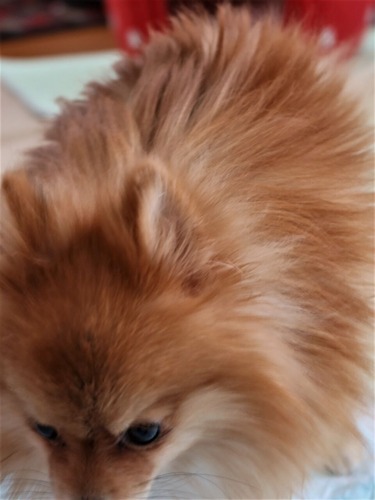 2021(R3)-2-20 Ƥåԡ (9)