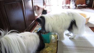 2013_0507_105555-IMG_2676