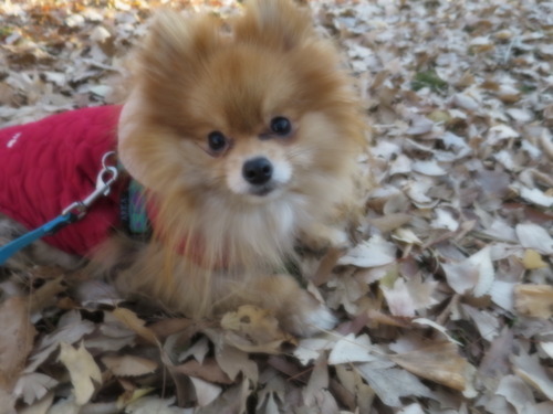 2020(R2)-12-22 סζ (1)