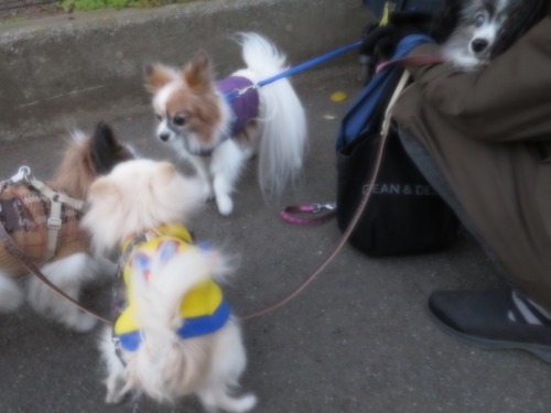 2020(R2)-12-20 Τ (11)