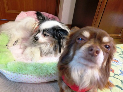 2016(H27)-2-18 �ߤ��������̲�긤 (12)