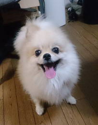 2016(H28)-9-8 ޤо 01