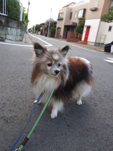 2019(R1)-8-7 �ϥ�Υ��륯�뻶�� (2)