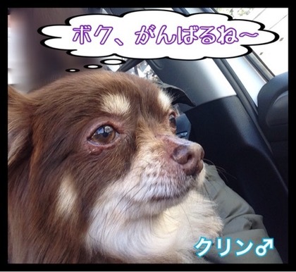 2015-2-14 ������Τ�Ʋ�ؽ�ȯ