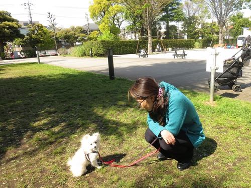 2020(R2)-4-24 ロージィお見合い(パーシモンセンター) (2)