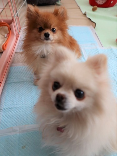 2021(R3)-2-20 Ƥåԡ (1)