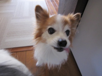 ī���Ϥ� (6)