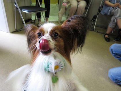 2016(H28)-7-16 ��17��Τ�Ʋ���� (2)