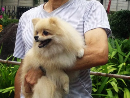 170723 ママを目で後追い