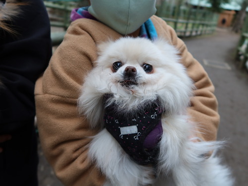 2020(R3)-3-9 すずめのお宿へ (27)