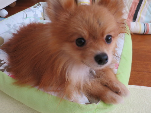 2020(R2)-10-20 今日も大好き❤ (19)