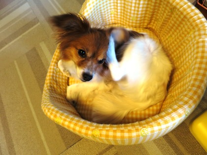 2018(H30)-7-18 İ˥å (1)