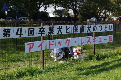 2017(H29)-11-3 第4回卒オフ会 54