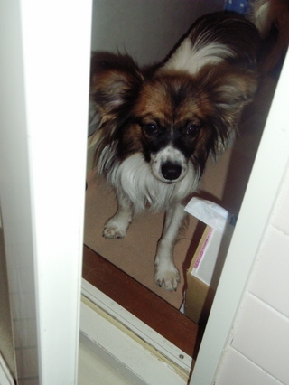 ���ۡ�����