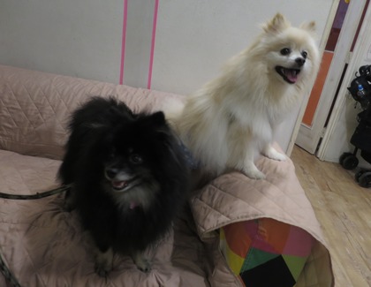 2018(H30)-5-2 åפ礤(L Pin,z) (10)