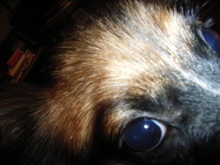 ハイテンション 4