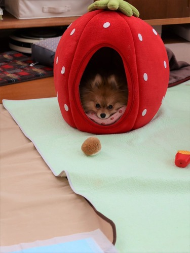 2021(R3)-2-20 Ƥåԡ (3)