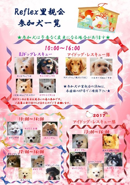 参加犬一覧0121@