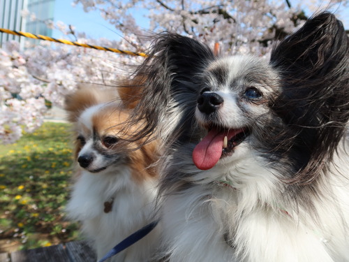 2021(R3)-3-27 3ǯΩκ (35)