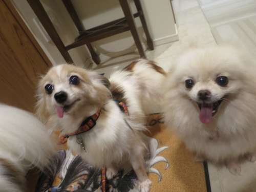 2020(R2)-9-12 ¤ª»¶Êâ½àÈ÷ (1)