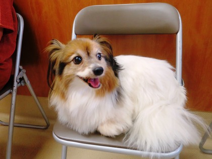 2014(H26)-7-19 ���Τ�Ʋ� (8)