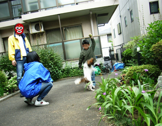 パパ・ママ・お兄ちゃん