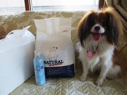 2014(H26)-7-19 ��ե�å�����ĺ���ޤ��� (3)