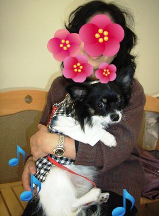 コピー ? 090117 073