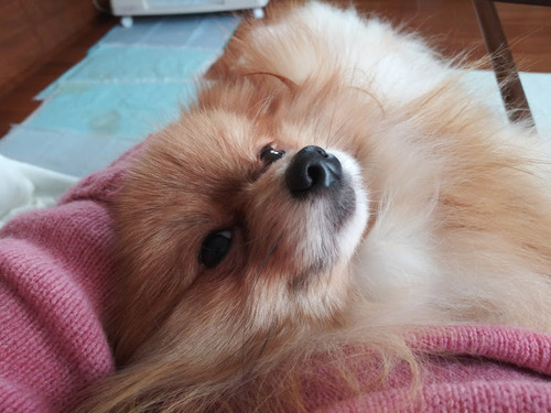 2020(R2)-12-19 äȤ (7)