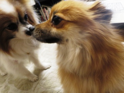 2019(H31)-2-9 傍に居たいの (10)