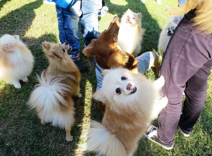 2015(H27)-10-25 第2回卒オフ (187)