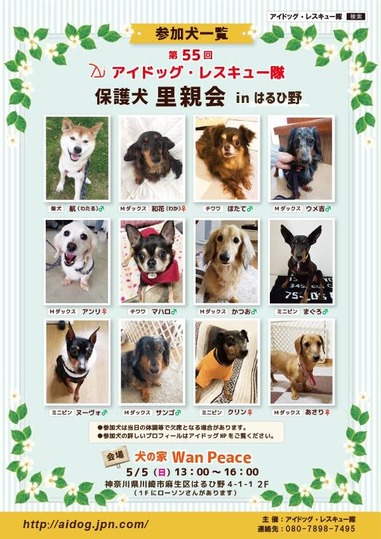 ¤Ï¤ë¤Ò¤ÎΤ¿Æ²ñ»²²Ã¸¤