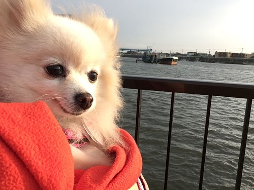 2020(R2)-5-12 �ȥ饤����5����