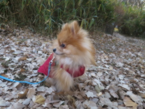 2020(R2)-12-22 סζ (33)