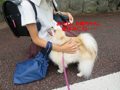 BlogPaint