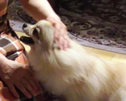 ����� 170719 03