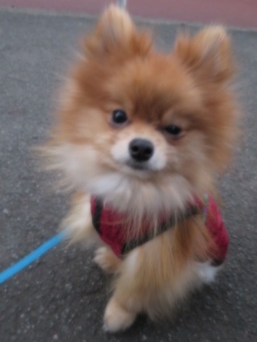 2020(R2)-12-20 Τ (1)