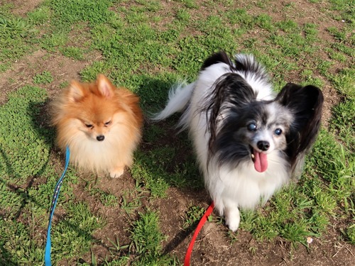 2021(R3)-4-1 ̱Ҷ̻ (27)