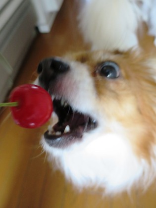 2018(H30)-6-26  (11)