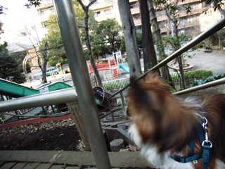 探しているの 2