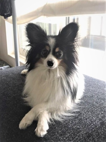 2021(R3)-6-4 トム通信 (6)