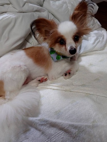 2020(R2)-7-28 ����ޥ���