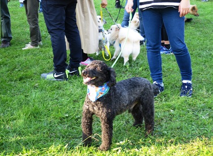 2017-11-3 卒オフ会 (17)