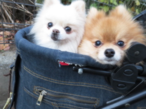 2020(R2)-12-20 Τ (2)