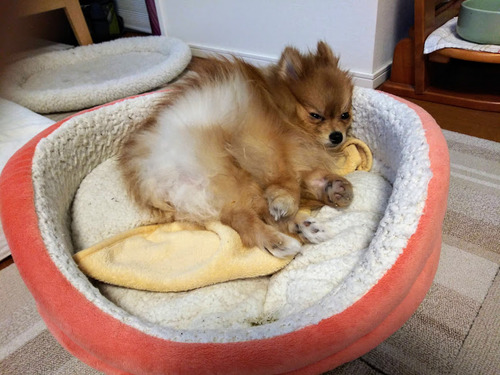 2021(R3)-1-28 ����3ǯ������� (4)