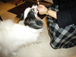 ����ĥ�ä�