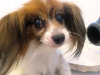 2014(H26)-7-17 �����ס� (8)