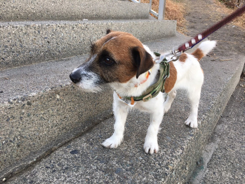 2021(R3)-1-12 トライアル9日目 08