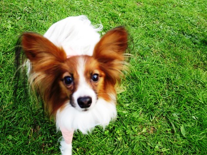 2017-11-3 卒オフ会 (60)